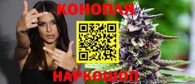 СК Можга