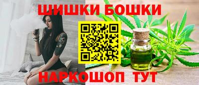 индика Моздок