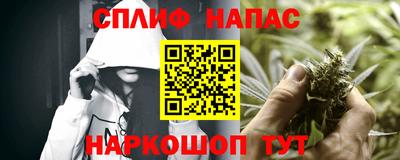 индика Моздок