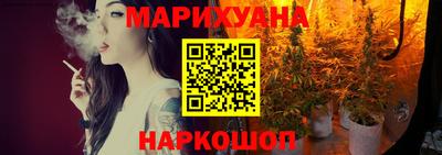 индика Моздок