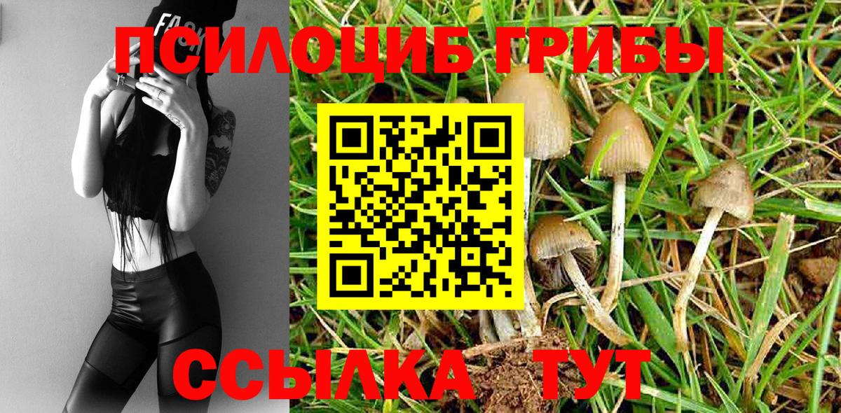 Псилоцибиновые грибы Magic Shrooms  Галлюциногенные грибы мухоморы  Березники  Вход с VPN 